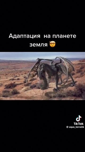 Вторник#фильмы#сериалы#комедии#юмор#новости#природа смотреть онлайн