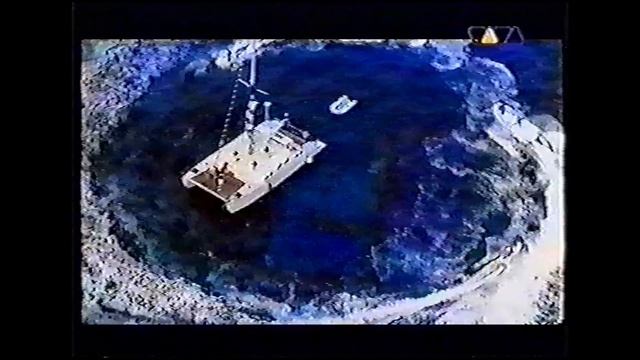 BLUMCHEN - VERRUCKTE JUNGS