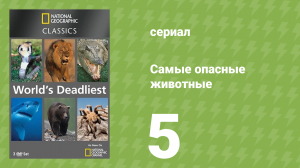 Самые опасные животные 5 серия (документальный сериал, 2007)