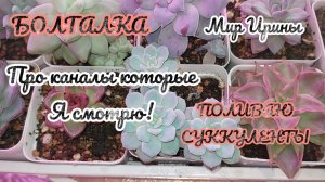 ●БОЛТАЛКА ●ПРО КАНАЛЫ КОТОРЫЕ Я СМОТРЮ ●ПОЛИВАЮ СУККУЛЕНТЫ●