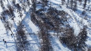 Корализация оленей в арктике /Архив/