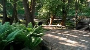ПОТРЯСАЮЩИЕ ПЕЙЗАЖИ В АЛЕКСАНДРОВСКОМ ПАРКЕ