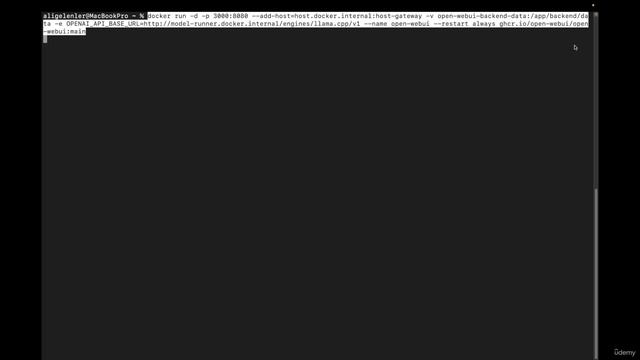 24. Using OpenWebUI for local LLMs смотреть онлайн