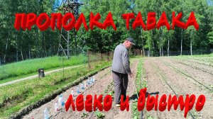 ПРОПАЛЫВАЕМ ТАБАК. ПЕРЕПЛАНИРУЕМ и РЕМОНТИРУЕМ ТИПОВОЙ ДОМ. Решили сломать потолки. ЖИЗНЬ В ДЕРЕВНЕ.