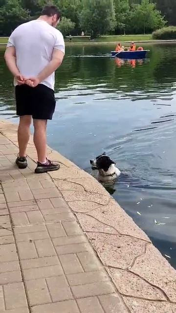 СОБАЧИЙ ПЛЯЖ. В Москве знойно...