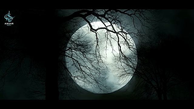 Ночь ПРЕДОПРЕДЕЛЕНИЯ | Не упусти свой ШАНС