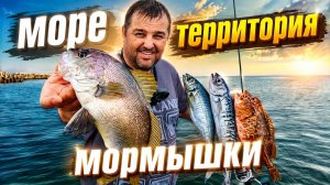 🔥 МОРЕ — ТЕРРИТОРИЯ МОРМЫШКИ! 🔥рыбалка на море бюджетно. Nautilus fukuru trevel морские испытания