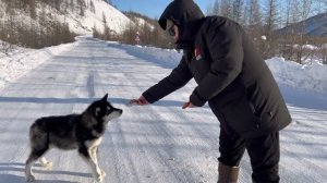 Поездка на север в арктический район Момский /Архив/
