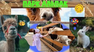 Парк альпак с ребёнком 2 года — стоит ли ехать? Куда сходить с малышом | Семейный блог