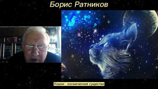 Борис Ратников. Про кошек