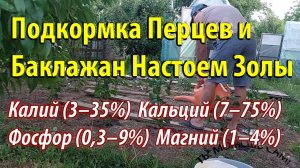 Подкормка Перцев и Баклажан Настоем Золы