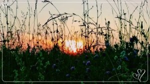 Мой новый фильм « Романтический закат в День России « ( 12 июня)