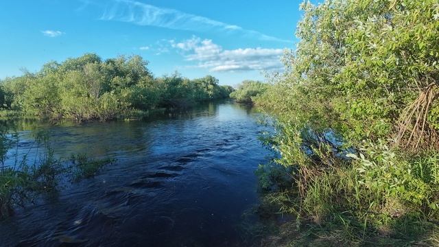 Озеро Никольское Вологодская область  , исток реки Комёла
