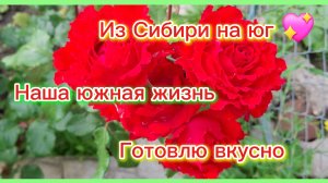 13-06-2026/Краснодарский край/Из Сибири на юг/Мечты сбываются!/Наши будни/Готовлю вкусно//