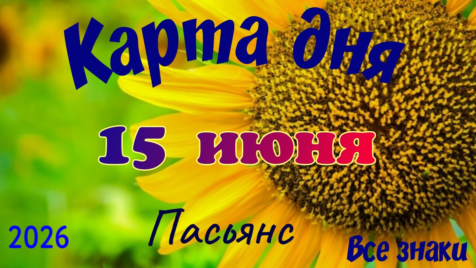 Карта дня🍓15 июня 💫🍀Пасьянс. Тайм-код в описании 🦢 смотреть онлайн