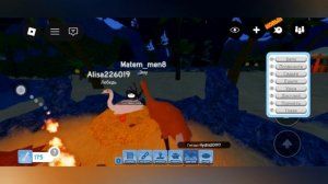 играем в роблокс в пернатую семью