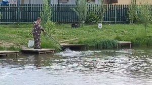 MOV_20260613_135404_933