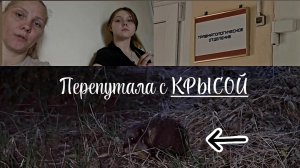 Злату положили в больницу💉Чизкейк 🍰08.06.2026