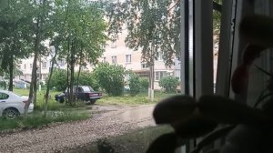 13-06-2026  дождь. карта в профиле на бутылку это лекарство и  на сиги 😀праздник же. я ржу