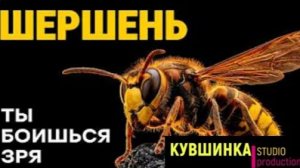 безжалостный убийца или главный помощник вашего сада