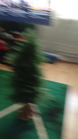 юадаюв