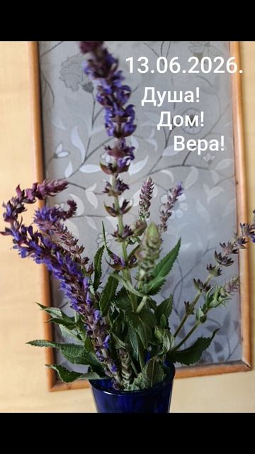 Девиз дня!✨🌈☀️13.06.2026. Дом! Семья! Вера в успех! Благодарность и любовь!#мысли#слова #разум#душа