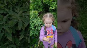 Дни в саду