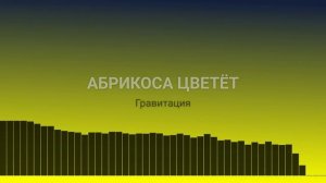 Гравитациия - Абрикоса цветёт