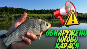 ДИКИЙ КАРАСЬ НА ФИДЕР. В ЭТОМ КАРЬЕРЕ ЦЕЛОЕ МОРЕ РЫБЫ. #карась