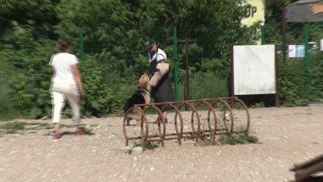 1_ПРК_Эндр Стремительный смотреть онлайн
