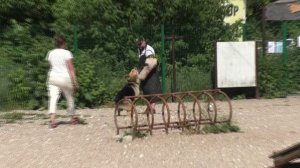 1_ПРК_Эндр Стремительный