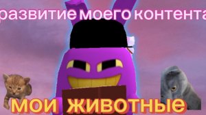 (истории) развитие моего контента-мои животные