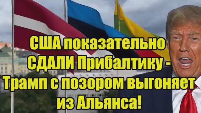США показательно сдали Прибалтику Трамп с позором выгоняет союзников из Альянса смотреть онлайн