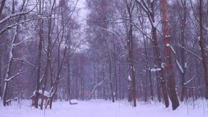 Медитация 176