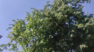 13 июня Магический ☀️ подарок прогноз от волшебника Ивана Ивановича Кулебякина из Москвы