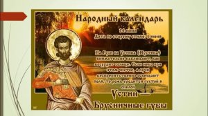 14 июня. Народные приметы, что можно делать в этот день, а чего нельзя.