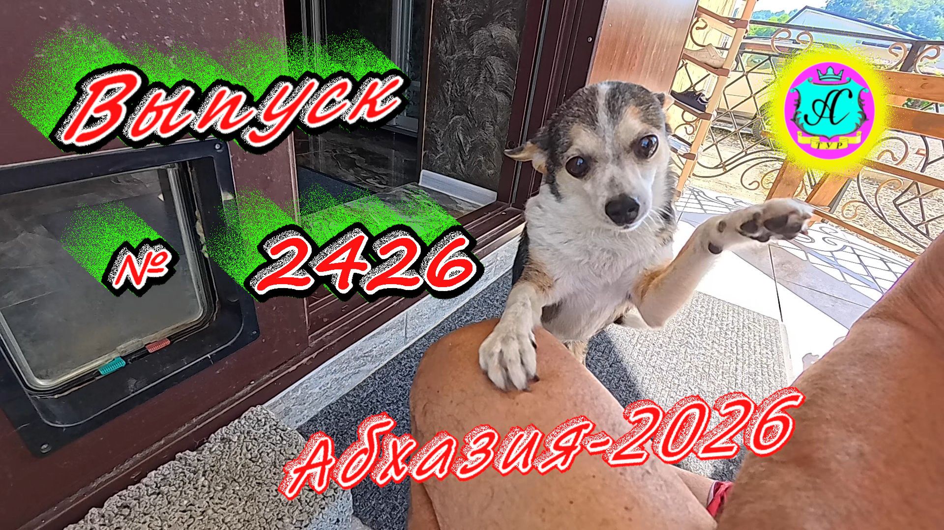 #Абхазия2026🌴 13.06.26г.🔥 Выпуск № 2426❗вчера +29°🌡ночью +17°🌡море +22,0°🐬