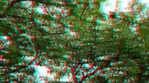 Коломенское. Сады. Стереофильм 3D