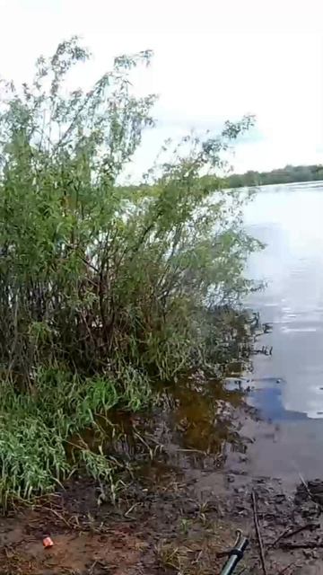 Когда начинаешь соблюдать заповеди Библия потихоньку открывается