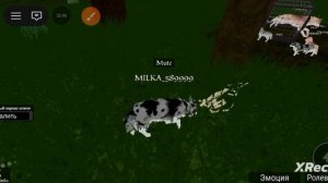 роблокс карта забытые миры часть 2