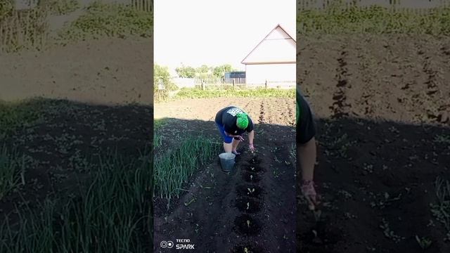 Немного домашних дел в ускоренном темпе ☺️. Приятного просмотра и хорошего настроения 😉 смотреть онлайн