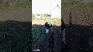 Немного домашних дел в ускоренном темпе ☺️. Приятного просмотра и хорошего настроения 😉