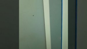 1000015162.mp4
