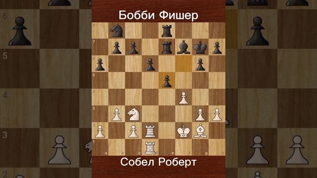 Фишер против Собел (1957) | Никто не ожидал такого от 14-летнего подростка