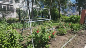 Цветники, грядки для зелени и опоры для цветов в ЖК в Белгороде 💐 🌹 🌸 🏵 🌼