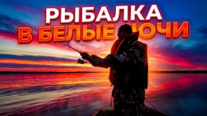 НЕРЕАЛЬНЫЙ КЛЁВ! Каждый заброс - поклёвка. Рыбалка на севере в Белые ночи.
