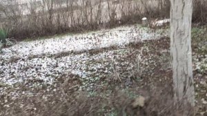 Один из дней города Евпатории | 20 января 2022 год | Крым ХАН БАТОН XAH 6ATOH | VID_20220120_145406