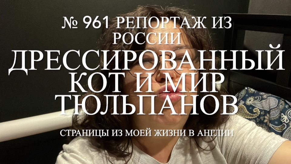 Дрессированный кот, снова по гостям и мир тюльпанов. № 961 Репортаж из России