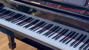 Рояль Steinway & Sons с системой Spirio (невидимый пианист), в дизайне Anniversary 165 лет Steinway