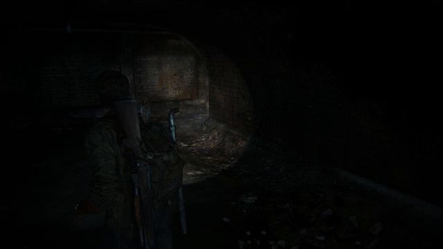 The Last of Us Part I #13